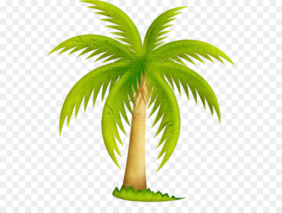 California palm Palm trees Clip art Mexican fan palm - tree png download - 600*670 - Free Transparent California Palm png Download.