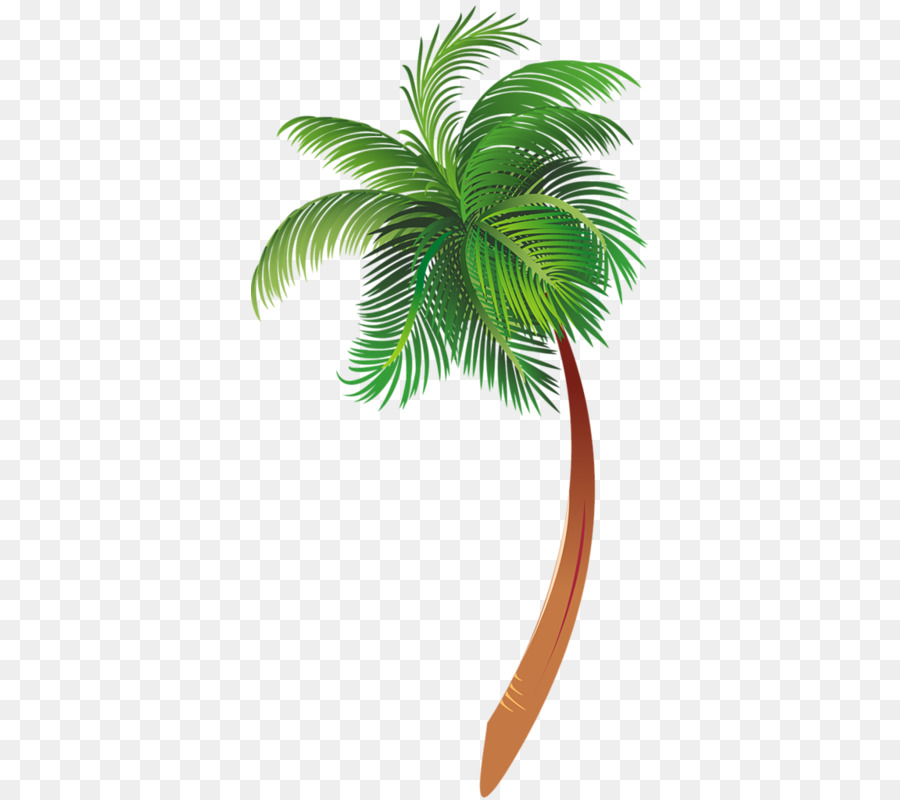 Arecaceae Cartoon Tree Clip art - Cartoon palm tree png download - 397*800 - Free Transparent Arecaceae png Download.