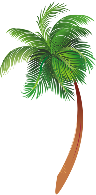 Arecaceae Cartoon Tree Clip art - Cartoon palm tree png download - 397* ...