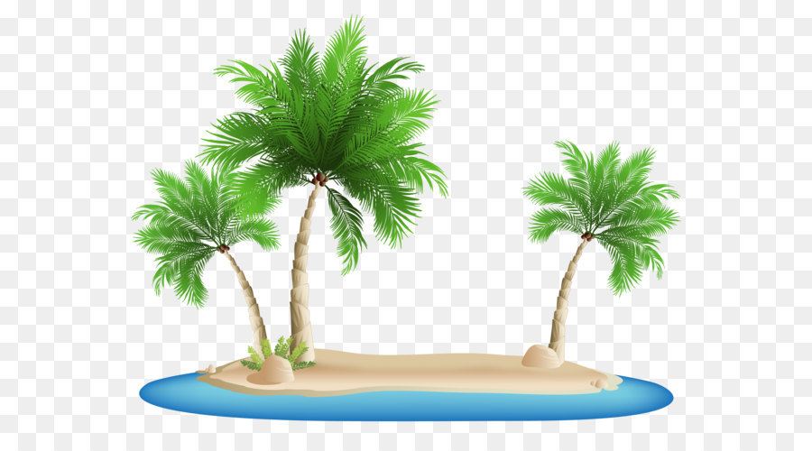 Beach Clip art - Palm Trees Island PNG Clipart Image png download - 7500*5562 - Free Transparent Palm Islands png Download.