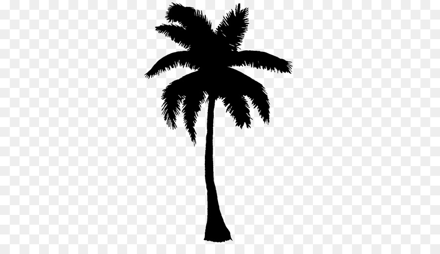 Asian palmyra palm Black & White - M Palm trees Leaf Silhouette -  png download - 750*502 - Free Transparent Asian Palmyra Palm png Download.