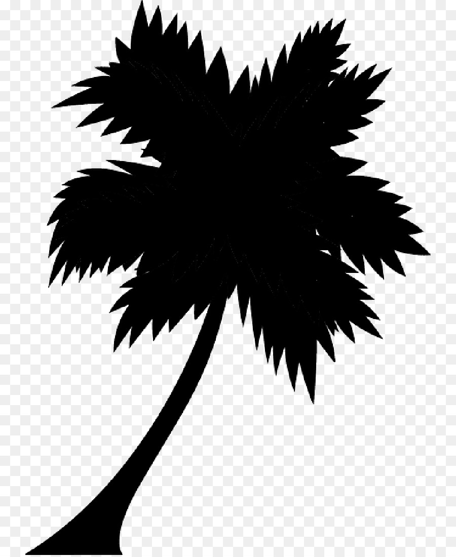 Palm trees Illustration Graphics Art Silhouette -  png download - 800*1096 - Free Transparent Palm Trees png Download.