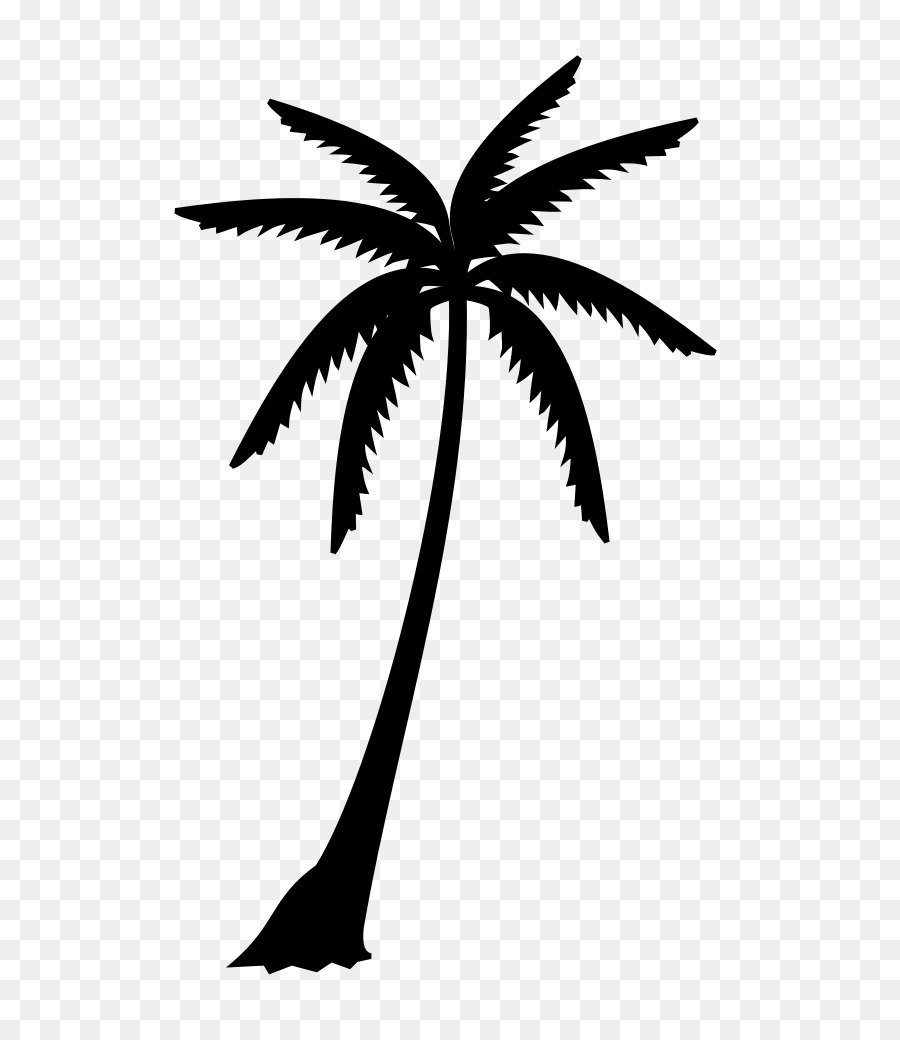 Asian palmyra palm Black & White - M Palm trees Leaf Silhouette - png ...