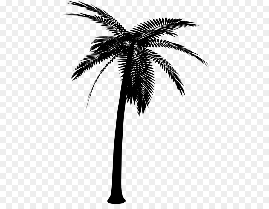 Portable Network Graphics Vector graphics Clip art Palm trees Silhouette -  png download - 500*684 - Free Transparent Palm Trees png Download.
