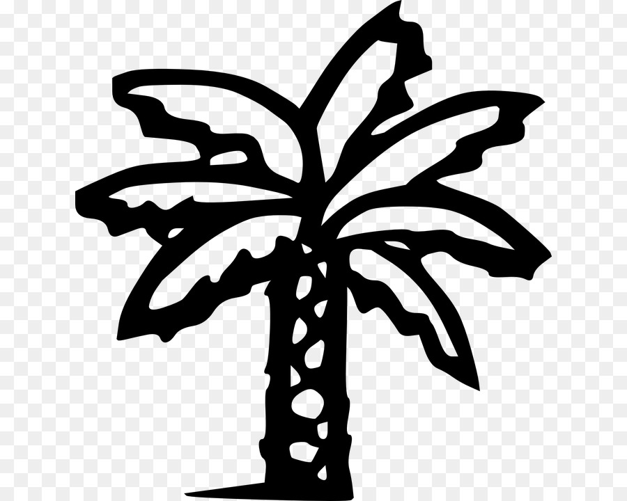 Arecaceae Clip art - palm Circle png download - 684*720 - Free Transparent Arecaceae png Download.