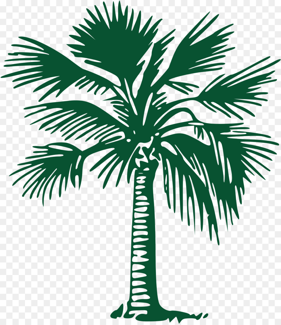Asian palmyra palm Caronport Community Church Arecaceae Gold Coast Tree Lopping - palm tree png download - 2000*2302 - Free Transparent Asian Palmyra Palm png Download.