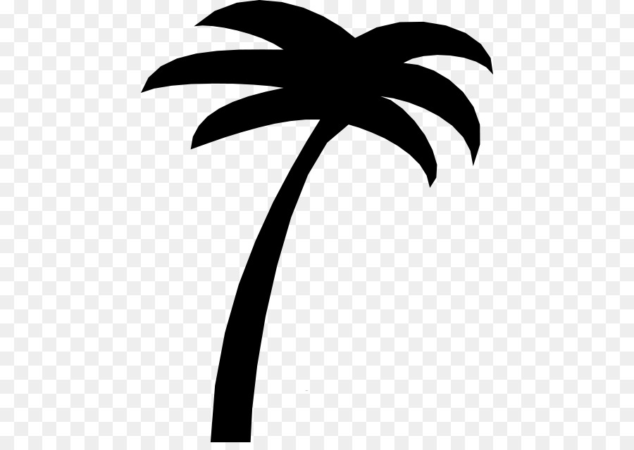 Sabal Palm Arecaceae Tree Clip art - tree png download - 500*629 - Free Transparent Sabal Palm png Download.