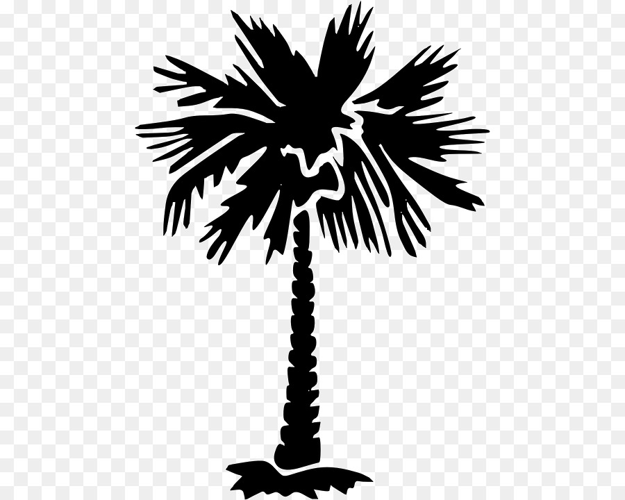 Sabal Palm Arecaceae Tree Clip art - tree png download - 512*720 - Free Transparent Sabal Palm png Download.