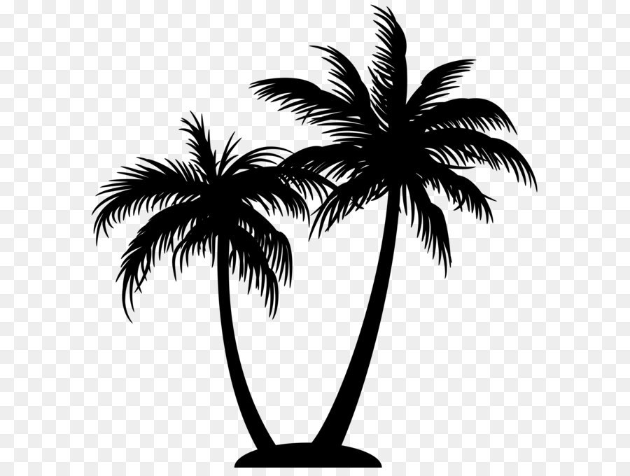 palm tree transparent