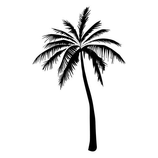 Palm trees Clip art Silhouette Image Vector graphics - silhouette png ...