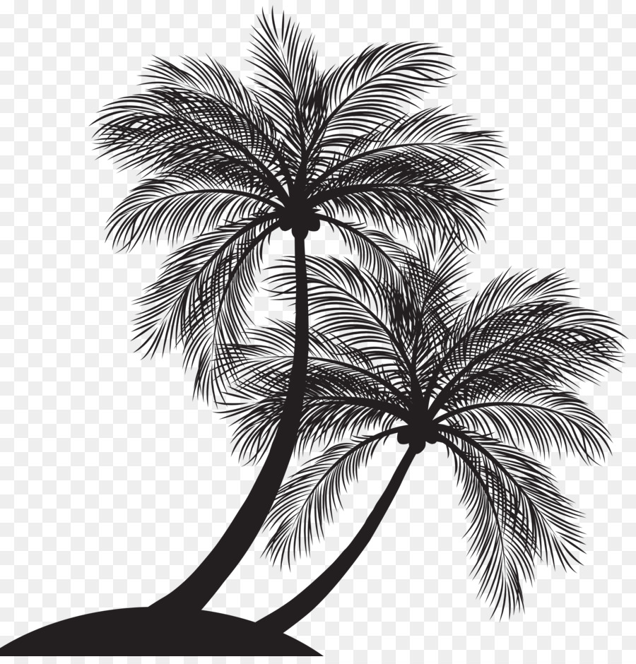 Palm trees Vector graphics Coconut Transparency - palm trees png tree silhouette png download - 434*929 - Free Transparent Palm Trees png Download.