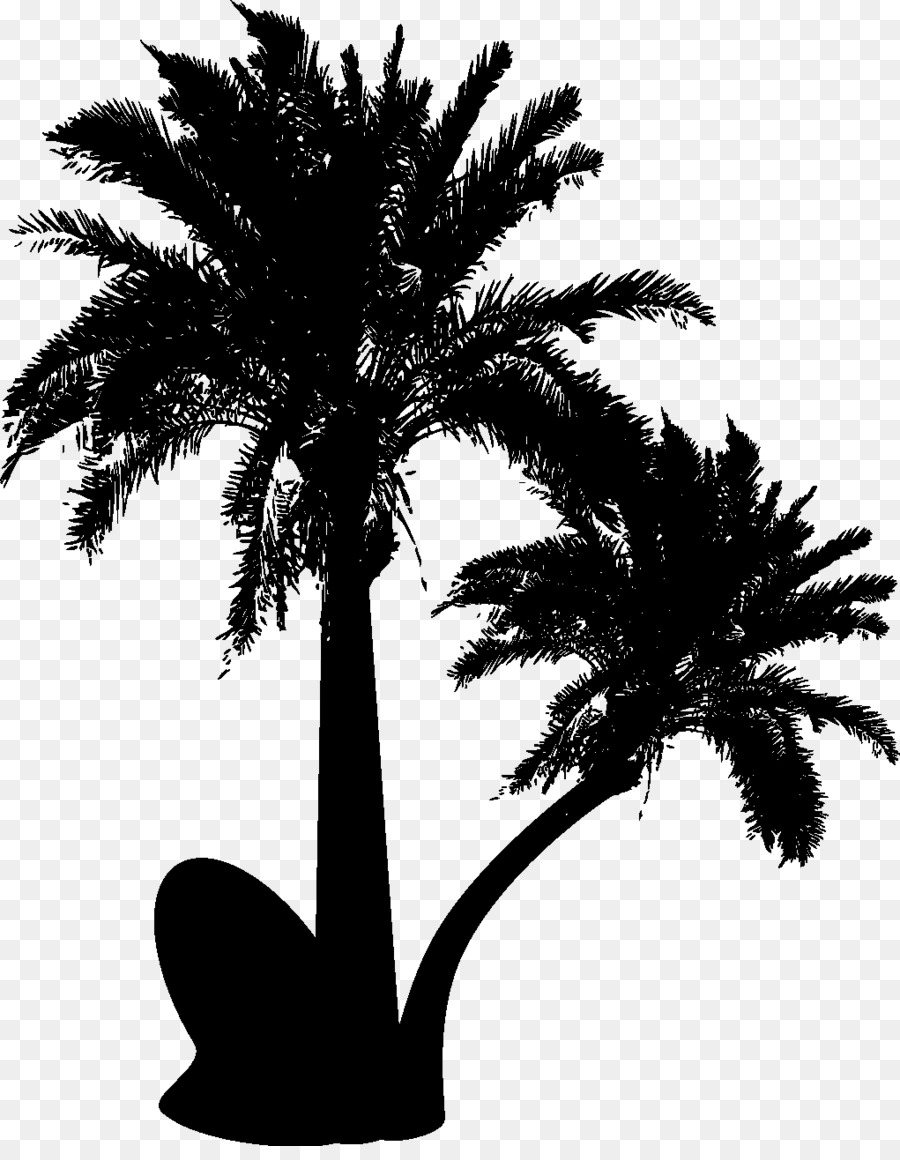 Silhouette Arecaceae Clip art - palm tree png download - 8000*6896 - Free Transparent Silhouette png Download.