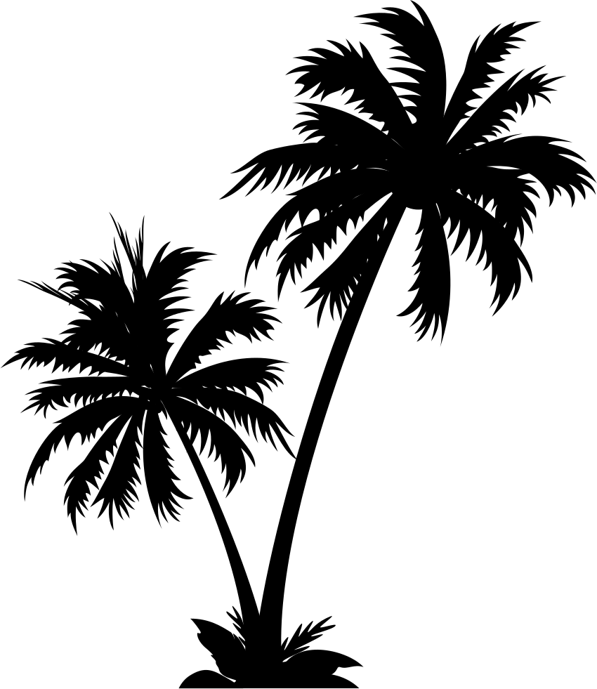 Vector graphics Palm trees Clip art Illustration Royalty-free - cameo ...