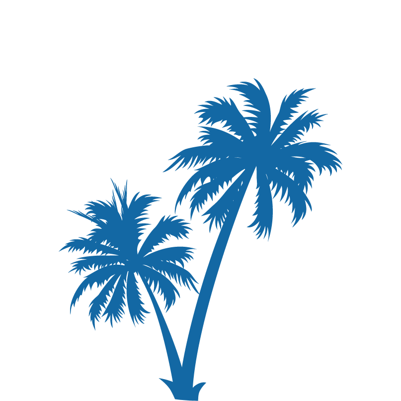 Palm trees Clip art Vector graphics Silhouette - tree png download ...