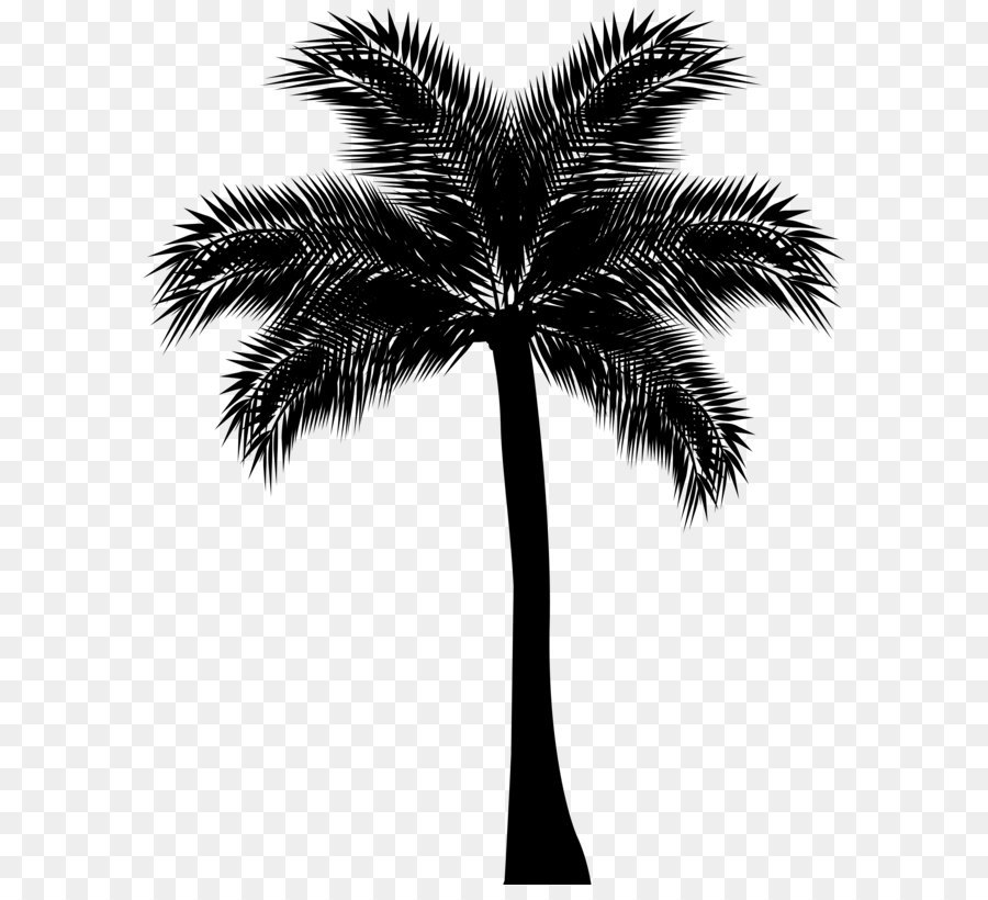 Arecaceae Tree Silhouette Clip art - Palm Tree Silhouette Png png ...