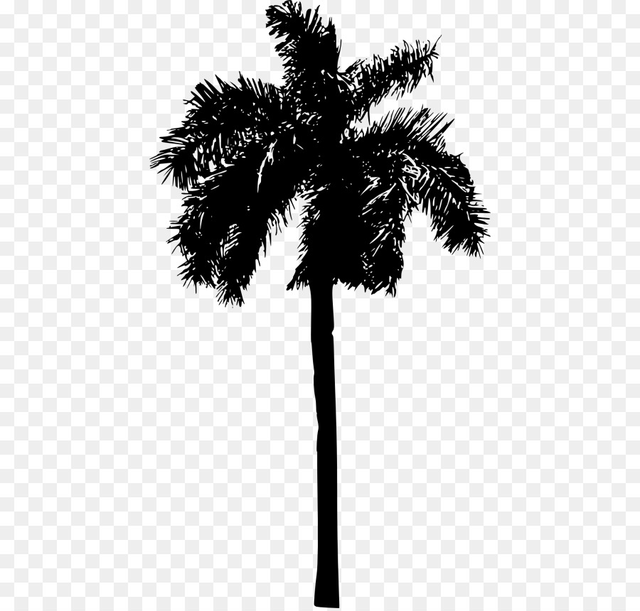 Asian palmyra palm Date palm Leaf Palm trees Silhouette - png download ...