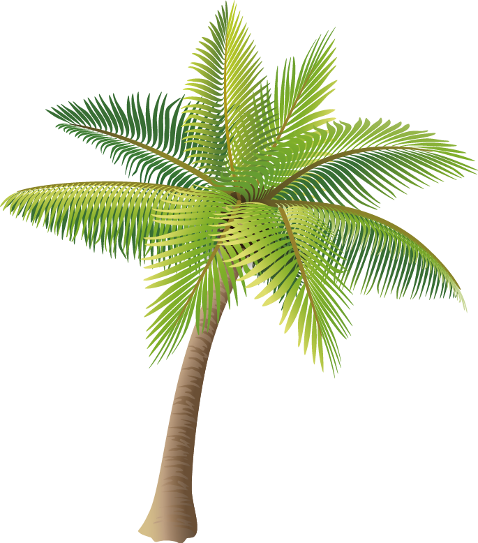 Coconut Icon - Coconut tree vector material png png download - 685*778 ...