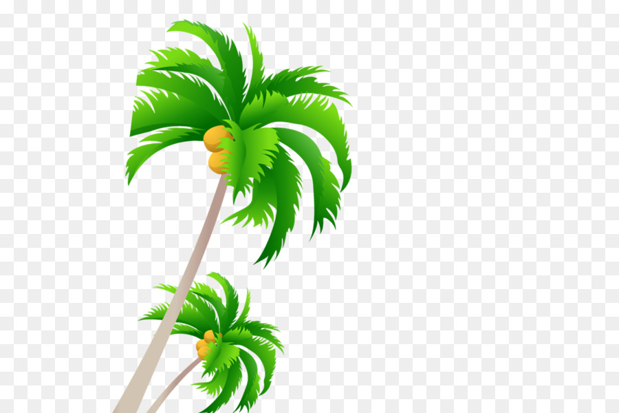 Palm trees Vector graphics Portable Network Graphics Coconut - amazon jungle png uihere png download - 600*600 - Free Transparent Palm Trees png Download.