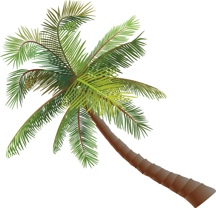 Asian palmyra palm Coconut Euclidean vector - Coconut tree vector png ...