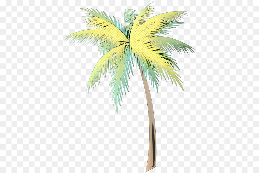 Asian palmyra palm Coconut Palm trees Date palm Leaf -  png download - 463*600 - Free Transparent Asian Palmyra Palm png Download.