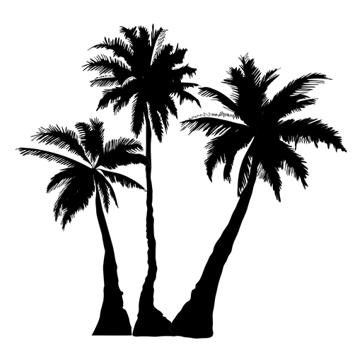 Arecaceae Silhouette Tree Clip art - palm trees png download - 512*512 ...