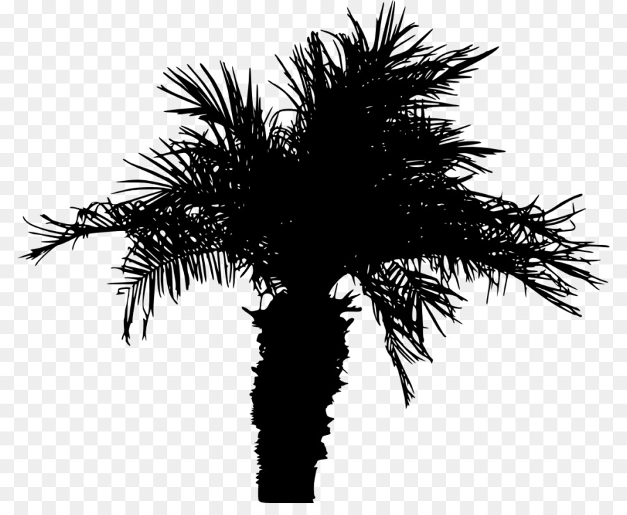 Portable Network Graphics Clip art Transparency Palm trees Vector graphics - summer palms png palm trees png download - 850*723 - Free Transparent Palm Trees png Download.