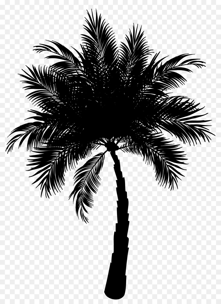 Asian palmyra palm Date palm Vector graphics Palm trees Clip art -  png download - 5256*7199 - Free Transparent Asian Palmyra Palm png Download.