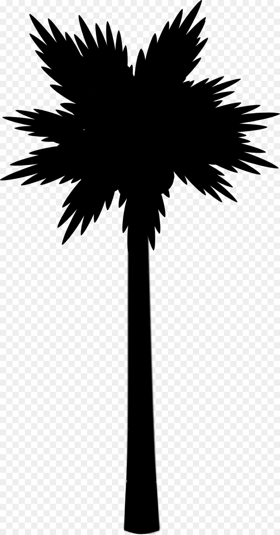 Asian palmyra palm Computer Icons Image Scalable Vector Graphics Beach -  png download - 999*1906 - Free Transparent Asian Palmyra Palm png Download.