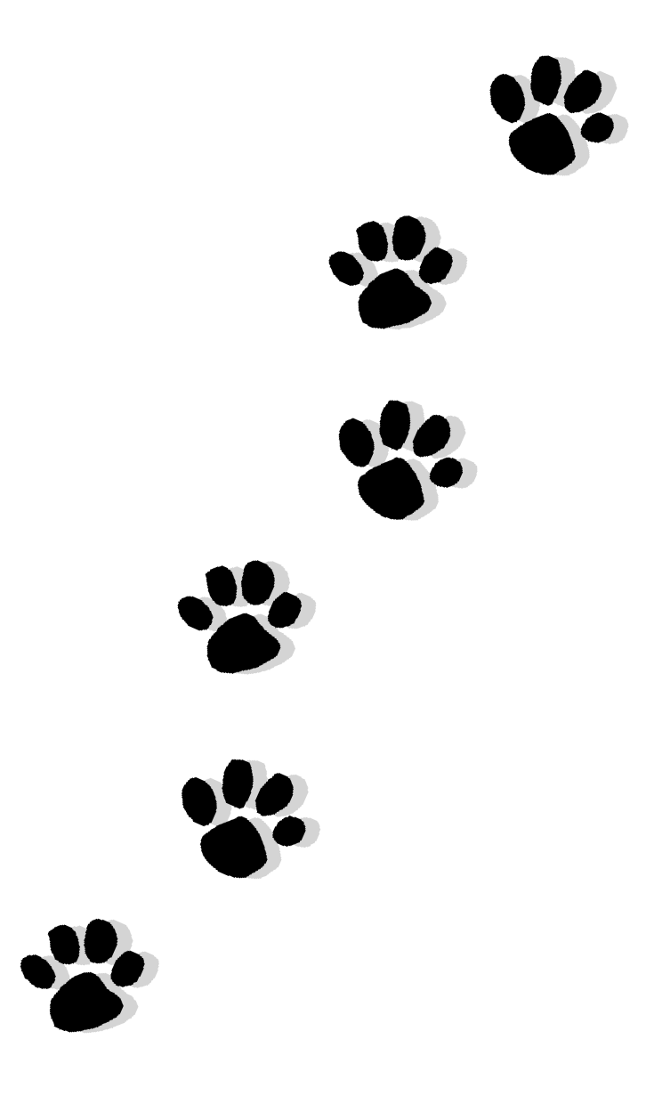 Cat Puppy Dachshund Paw Printing - claws png download - 726*1231 - Free ...