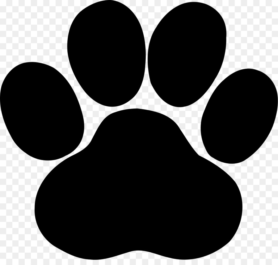 Paw Cat Dog Decal Clip art - footprints png download - 1093*1024 - Free Transparent Paw png Download.