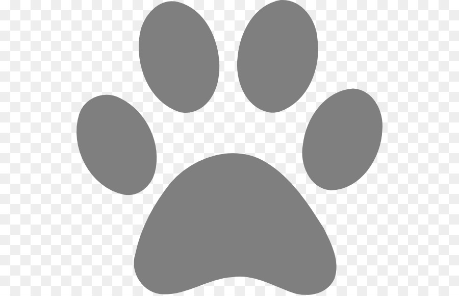 Tiger Dog Cat Lion Paw - Lion Paw Print png download - 600*578 - Free Transparent Tiger png Download.