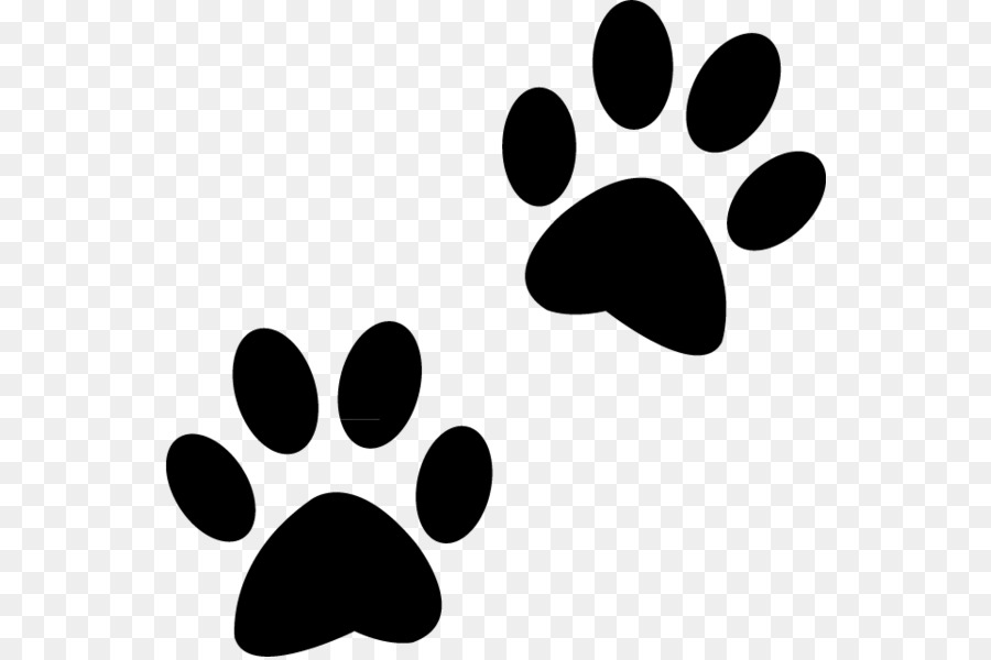 Polydactyl cat Dog Paw Puppy -  png download - 600*597 - Free Transparent Cat png Download.