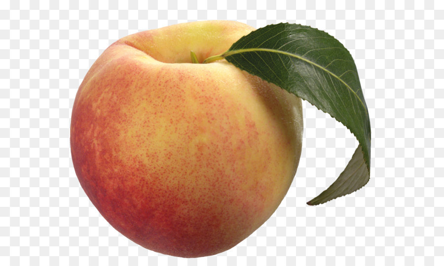 Peach Fruit Clip art - Peach Free Download Png png download - 1452*1206 - Free Transparent Peach png Download.