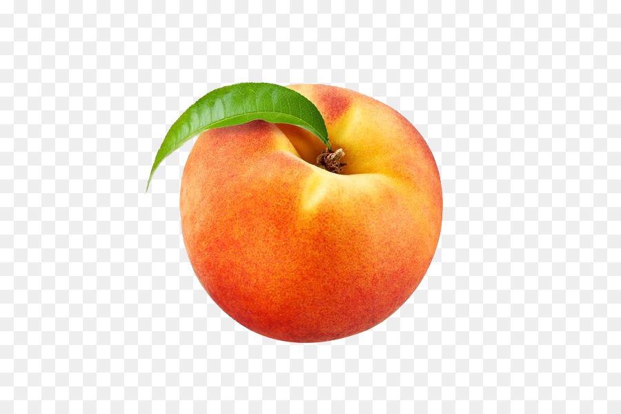 James and the Giant Peach Peaches and cream Flavor Electronic cigarette aerosol and liquid - Photos Peach Transparent png download - 600*600 - Free Transparent James And The Giant Peach png Download.
