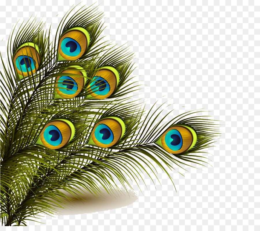 Peafowl Feather Clip art - Peacock feather background image png download - 1000*870 - Free Transparent Peafowl png Download.