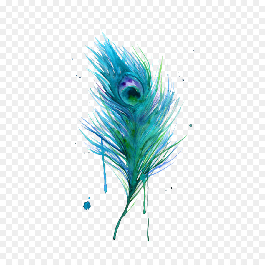Asiatic peafowl Feather Bird Clip art - Peacock feather png download - 700*896 - Free Transparent Bird png Download.