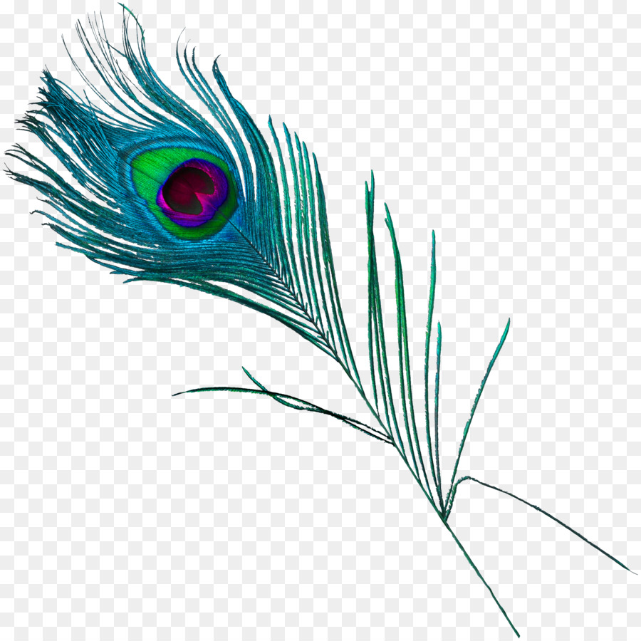 Feather Peafowl - Beautiful peacock feathers png download - 2681*2680 - Free Transparent Feather png Download.