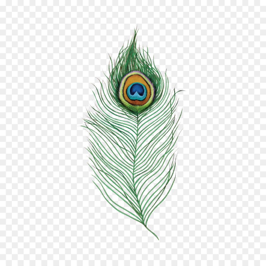 Single Peacock Feathers Peafowl Desi Natural Peacock Eye Feathers Tails Image - feather png download - 1200*1200 - Free Transparent Feather png Download.