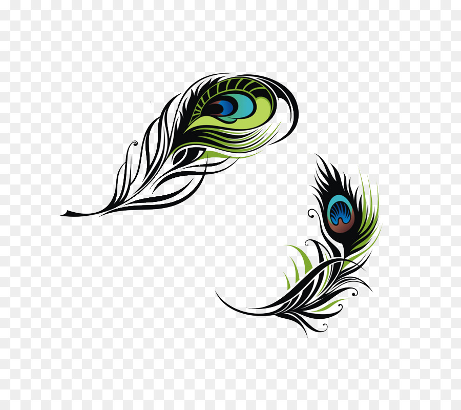 Bird Feather Peafowl Euclidean vector - Peacock feather png download - 800*800 - Free Transparent Bird png Download.