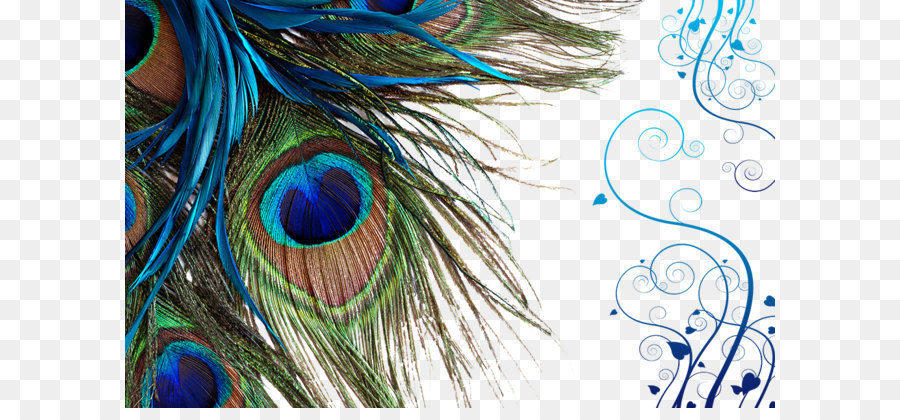 Peacock feather png download - 1000*627 - Free Transparent Towel png Download.