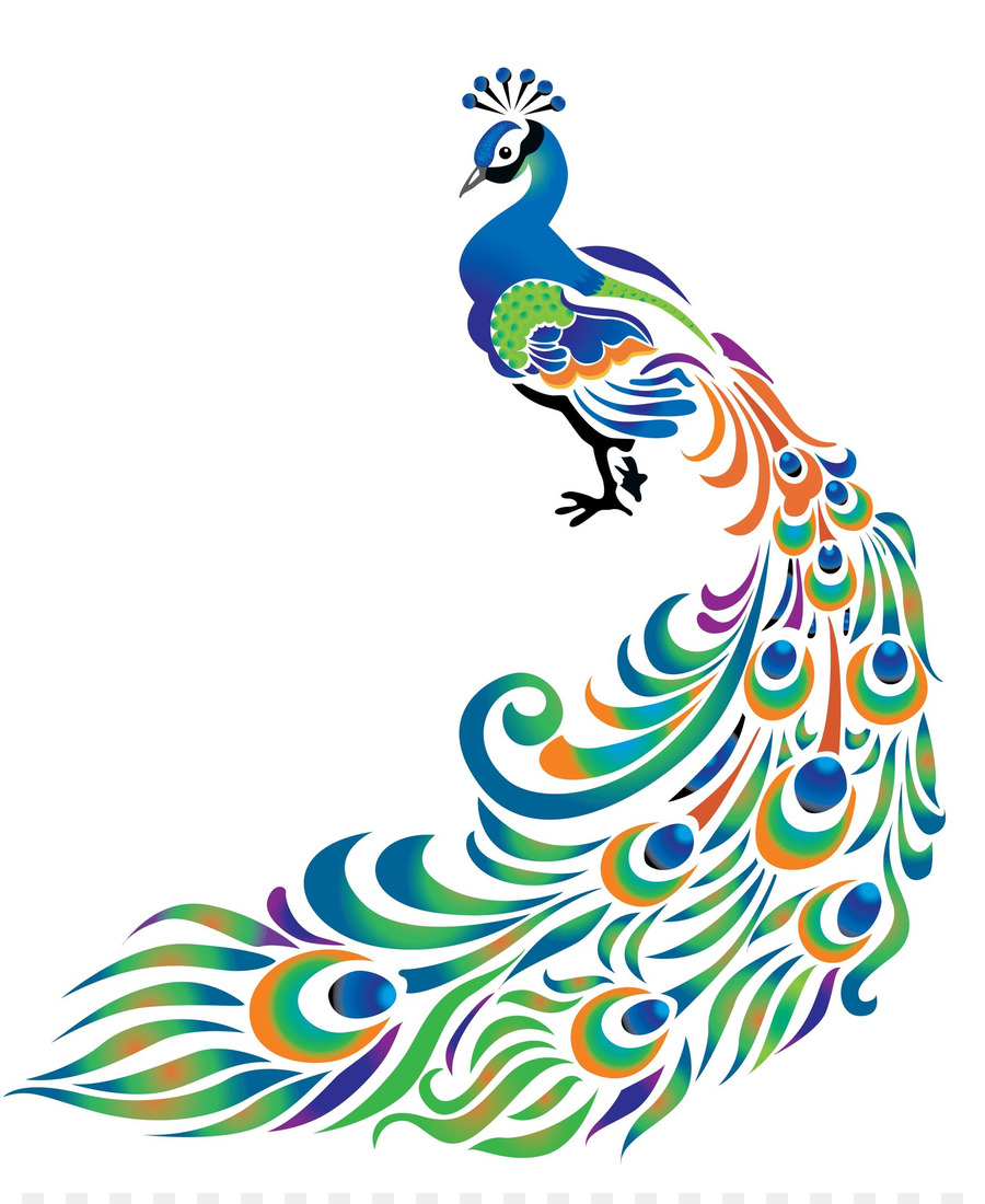 Drawing Peafowl Clip art - PNG Transparent Peacock png download - 1861*2254 - Free Transparent Drawing png Download.
