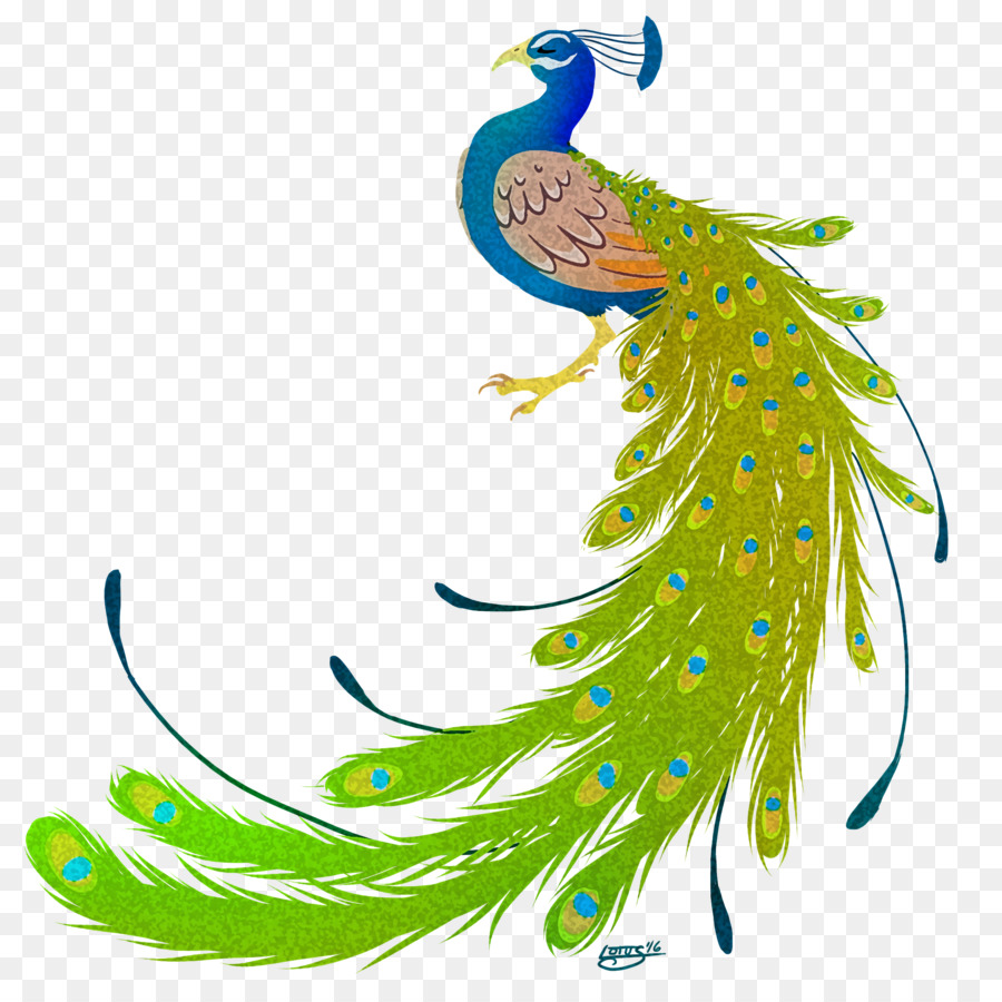 Bird Peafowl Feather Clip art - peacock png download - 2112*2112 - Free Transparent Bird png Download.