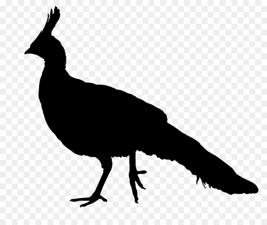 Peafowl Silhouette Bird Clip art - Silhouette png download - 1000*834 - Free Transparent Peafowl png Download.