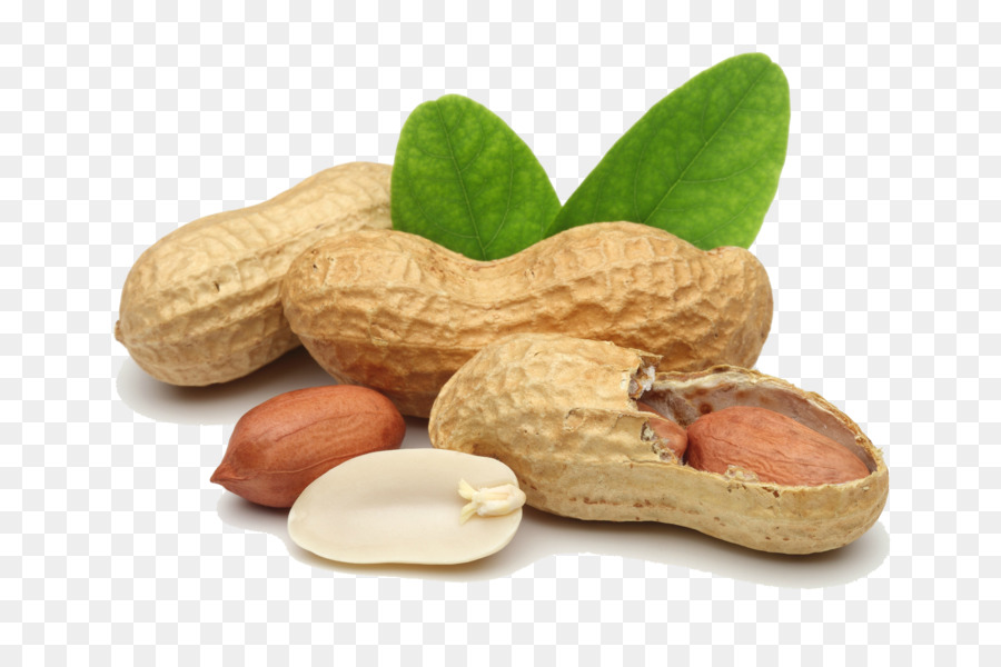 Praline Peanut Legume Dried Fruit - Peanut PNG Transparent Images png download - 1688*1125 - Free Transparent Praline png Download.