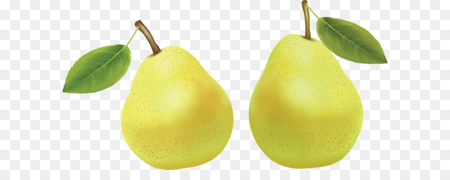 Pear Fruit Amygdaloideae Clip art - Pear PNG image png download - 3534*1849 - Free Transparent Pyrus Nivalis png Download.