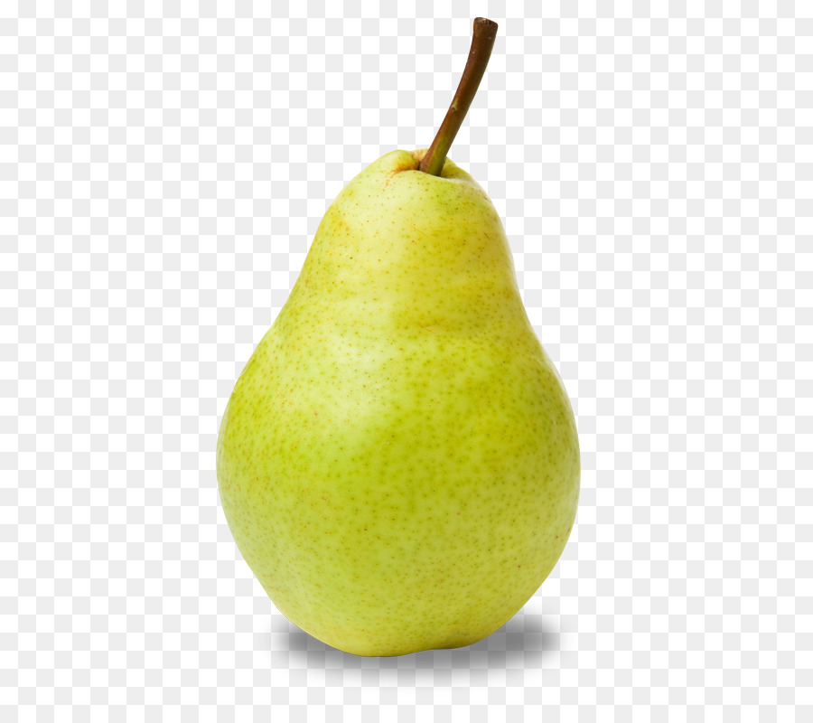 Asian pear Bosc pear Flavor Light - others png download - 600*800 - Free Transparent Asian Pear png Download.