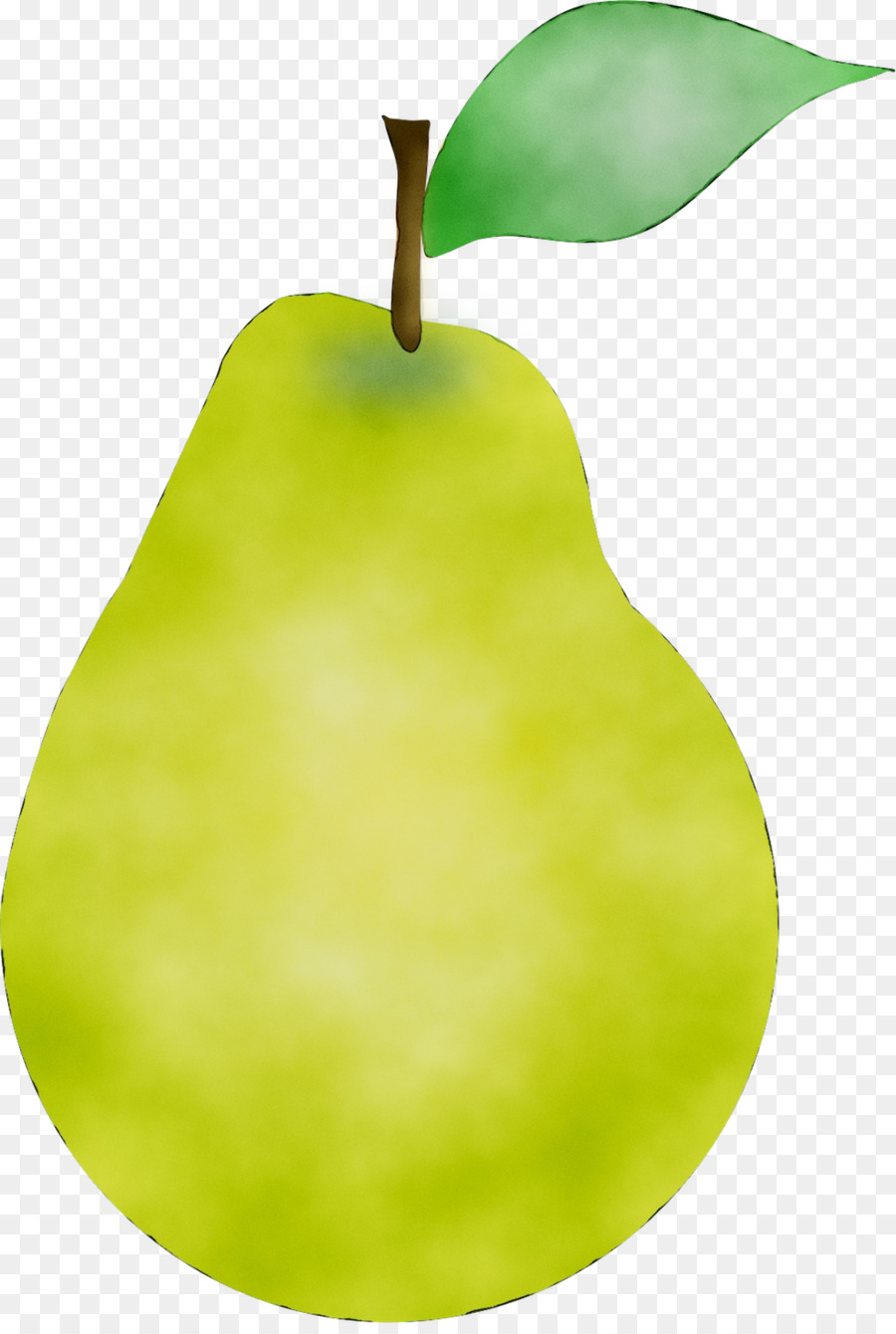 Pear Product design Apple -  png download - 1127*1664 - Free Transparent Pear png Download.