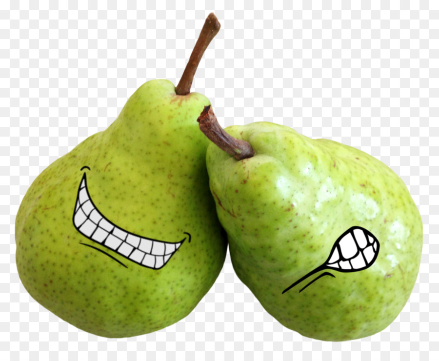 Pear Fruit Clip art - pear png download - 995*802 - Free Transparent Pear png Download.