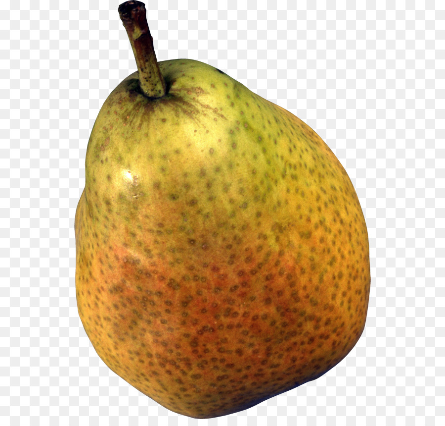 Portable Network Graphics Vector graphics Pear Clip art Transparency - prickle png pears png download - 600*846 - Free Transparent Pear png Download.