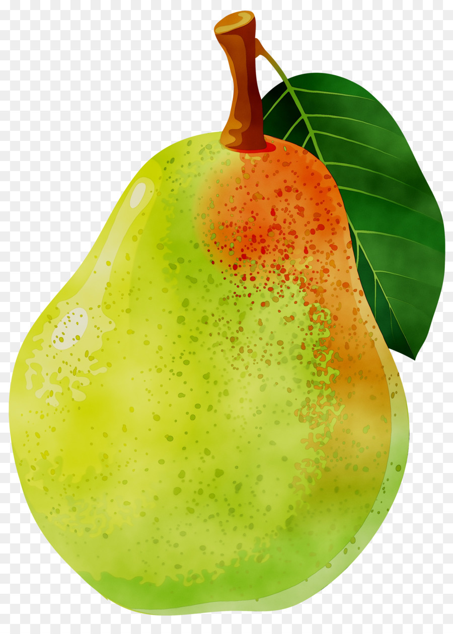 Clip art Portable Network Graphics Openclipart Free content Bosc pear -  png download - 2160*2999 - Free Transparent Bosc Pear png Download.